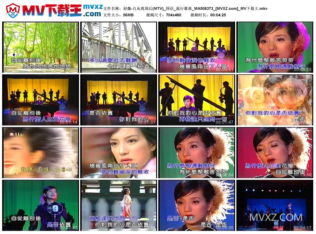 赵薇-自从离别后(MTV)_国语_流行歌曲_MA508373